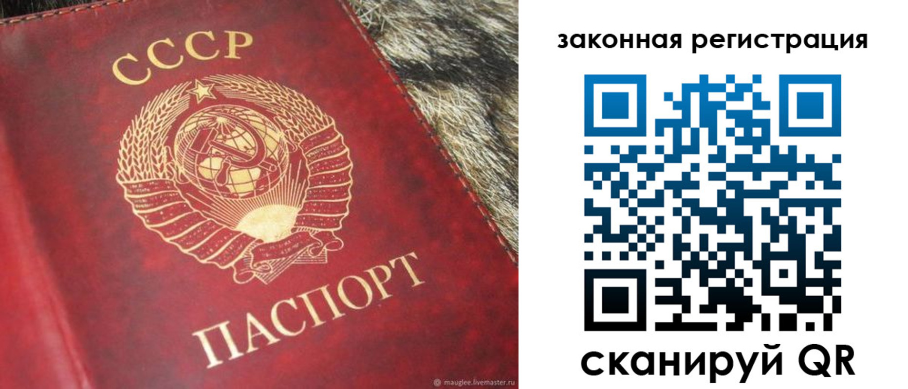 прописка от собственника в Козловке